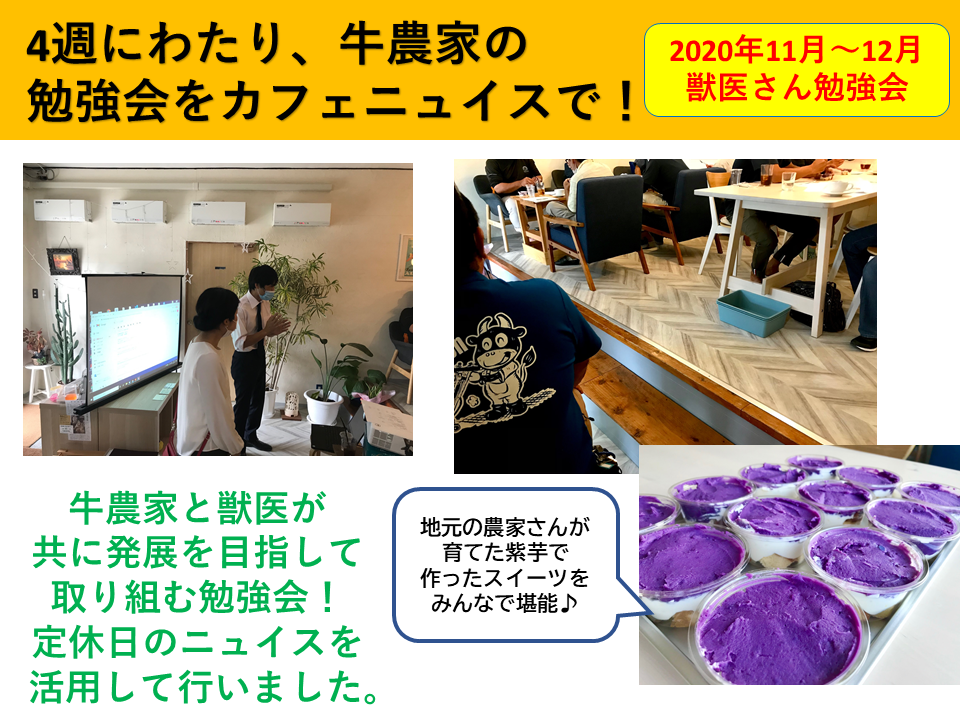 獣医、牛農家の勉強会